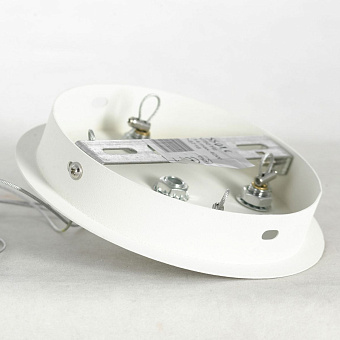 Люстра подвесная Lussole ALLEN LSP-8716 200Вт 5 лампочек E14