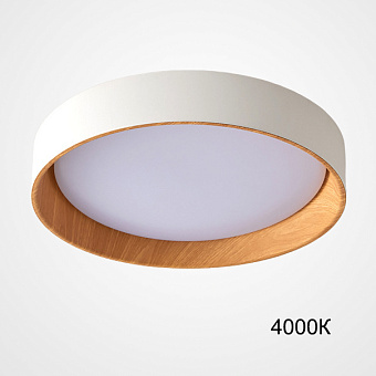 Светильник потолочный ImperiumLOFT Wenny 223984-23 46Вт LED