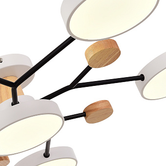 Светильник потолочный Evoluce FAEMA SLE6006-502-06 72Вт LED