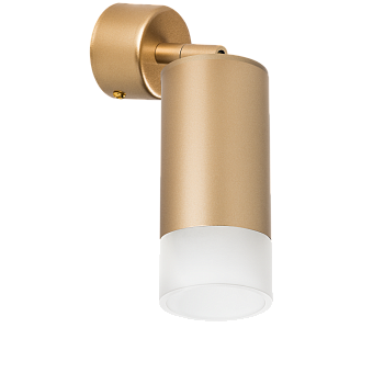 Светильник настенно-потолочный Lightstar Rullo RB4401031 50Вт GU10
