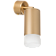 Светильник настенно-потолочный Lightstar Rullo RB4401031 50Вт GU10