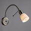 Спот Arte Lamp LETTURA A7009AP-1SS 40Вт 1 лампа E14