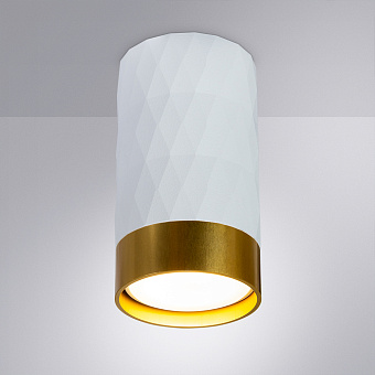 Светильник точечный накладной Arte Lamp FANG A5558PL-1WH 50Вт GU10