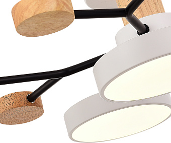 Светильник потолочный Evoluce FAEMA SLE6006-502-05 60Вт LED