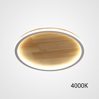 Светильник потолочный ImperiumLOFT Dolan 223948-23 35Вт LED