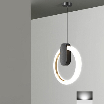 Светильник подвесной ImperiumLOFT Gina 213674-23 15Вт LED