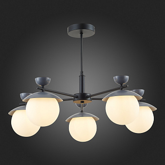 Светильник потолочный Evoluce GENOVA SLE220202-05 25Вт G9