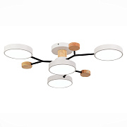 Светильник потолочный Evoluce FAEMA SLE6006-502-04 48Вт LED