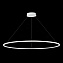 Светильник подвесной ST Luce ST604 OUT ST604.543.46 46Вт LED