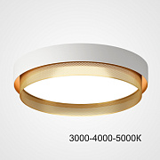 Светильник потолочный ImperiumLOFT Malia 223852-23 48Вт LED