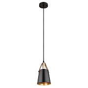 Светильник подвесной Arte Lamp THOMAS A7032SP-1BK 60Вт E27