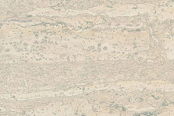 Пробковый пол CORKSTYLE CORK PRO-GLUE 915х200х6мм Comprido Milk Comprido Milk_GLUE 1,647кв.м