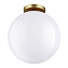 Светильник настенно-потолочный Odeon HIGHTECH 4249/1C 12Вт E27 LED