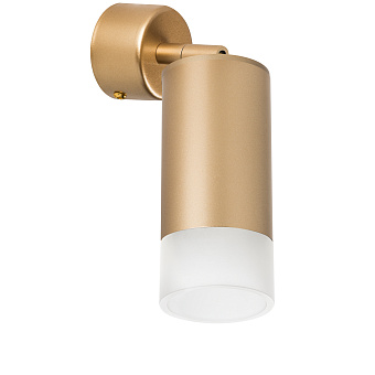 Светильник настенно-потолочный Lightstar Rullo RB4401031 50Вт GU10