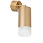 Светильник настенно-потолочный Lightstar Rullo RB4401031 50Вт GU10