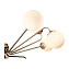 Люстра ST Luce REDJINO SLE106203-12 36Вт 12 лампочек G9 LED