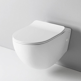 Сиденье для унитаза ArtCeram FLA014 05 с микролифтом