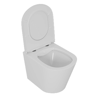 Унитаз подвесной D&K Venice DT1026016 безободковый с микролифтом