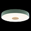 Светильник потолочный Loft It Axel 10003/24 Green 24Вт LED