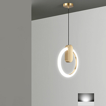 Светильник подвесной ImperiumLOFT Gina 213670-23 10Вт LED