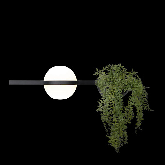 Светильник настенный Loft It Jardin 10121W/A 24Вт LED