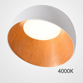 Светильник потолочный ImperiumLOFT Norda 224015-23 24Вт LED