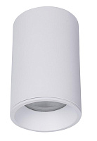 Светильник потолочный Maytoni Zoom C029CL-01-S-W 50Вт GU10