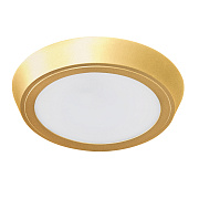 Светильник настенно-потолочный Lightstar Urbano 216932 20Вт LED