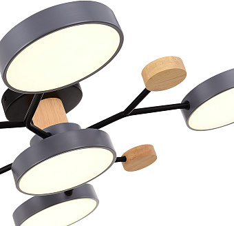 Светильник потолочный Evoluce FAEMA SLE6006-702-05 60Вт LED