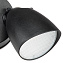 Светильник фасадный Lightstar Diva 374247 10Вт IP54 LED чёрный