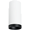 Светильник настенно-потолочный Lightstar Rullo R64863487 50Вт GU10