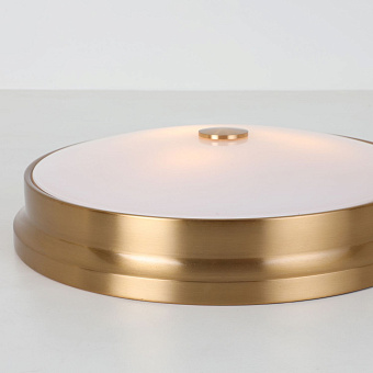 Светильник потолочный Favourite Pannikin 2375-3C 120Вт E27