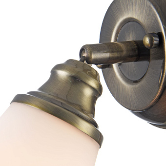 Спот Freya Jasinta FR2272-WL-01-BS 40Вт 1 лампа E14