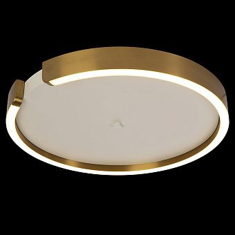 Светильник потолочный Loft It Ring 10026 30Вт LED
