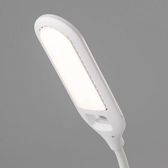 Настольная лампа Eurosvet Soft 80503/1 белый 8Вт LED