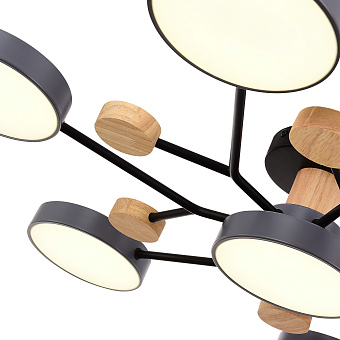 Светильник потолочный Evoluce FAEMA SLE6006-702-07 84Вт LED