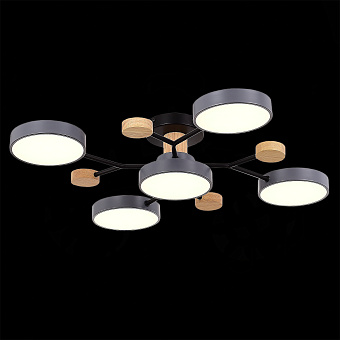 Светильник потолочный Evoluce FAEMA SLE6006-702-05 60Вт LED