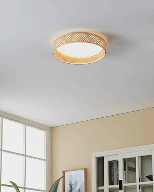 Светильник потолочный EGLO LUPPINERIA 900464 24Вт LED