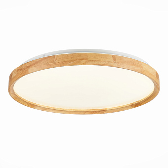 Светильник потолочный Evoluce DELIA SLE201382-01 40Вт LED