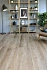 Виниловый ламинат Alpine Floor Клён Насыщенный ЕСО 3-20 1219х184,15х3мм 43 класс 2,25кв.м