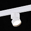 Магнитный трековый светильник ST Luce SKYLINE 48 ST809.546.09 9Вт LED белый